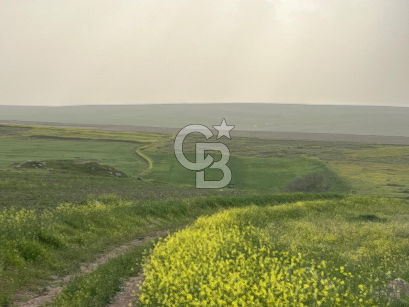 KIRŞEHİR MERKEZ SARAYCIK KÖYÜ 23.439 M2 SATILIK TARLA
