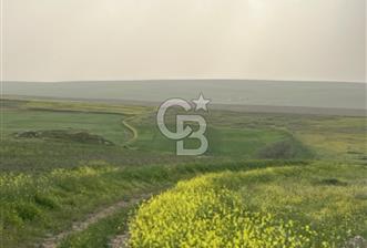 KIRŞEHİR MERKEZ SARAYCIK KÖYÜ 23.439 M2 SATILIK TARLA - 1 - 375369