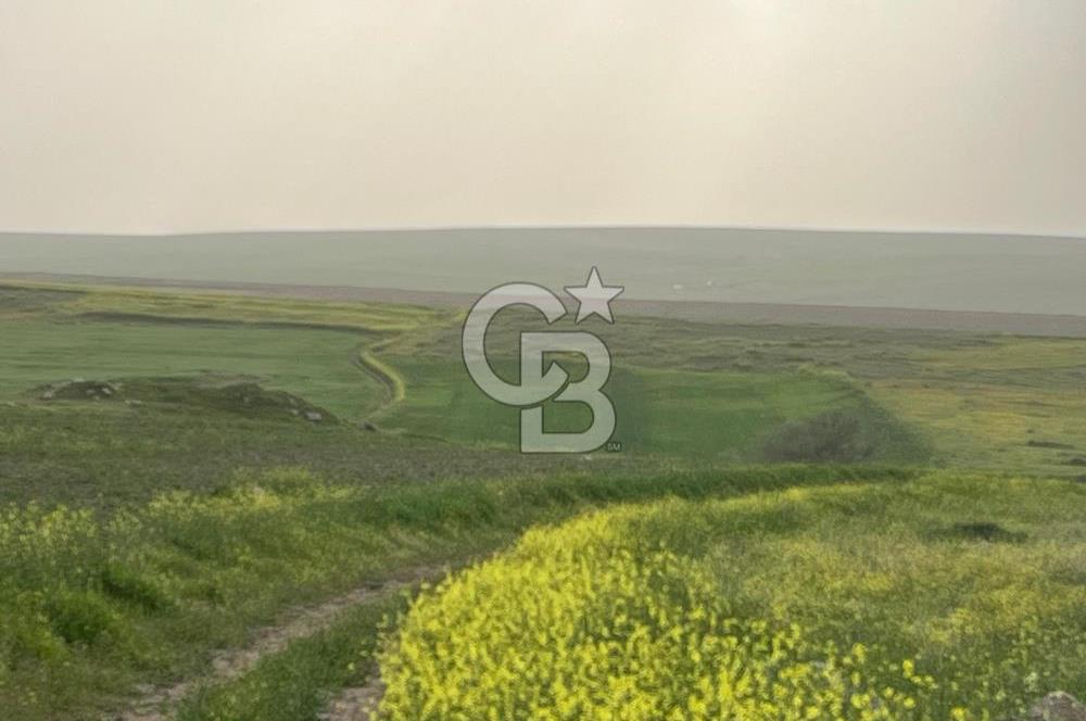 KIRŞEHİR MERKEZ SARAYCIK KÖYÜ 23.439 M2 SATILIK TARLA