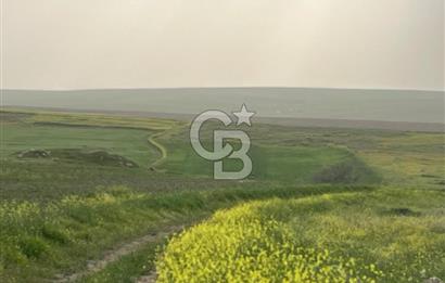 KIRŞEHİR MERKEZ SARAYCIK KÖYÜ 23.439 M2 SATILIK TARLA