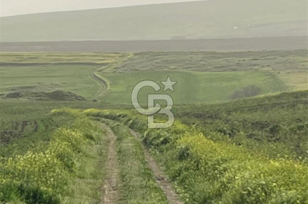 KIRŞEHİR MERKEZ SARAYCIK KÖYÜ 23.439 M2 SATILIK TARLA