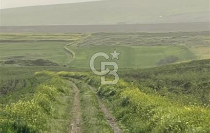 KIRŞEHİR MERKEZ SARAYCIK KÖYÜ 23.439 M2 SATILIK TARLA