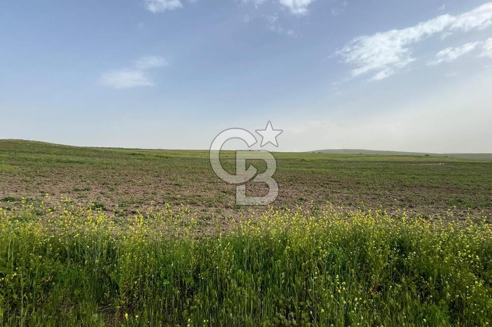 KIRŞEHİR MERKEZ SARAYCIK KÖYÜ 23.439 M2 SATILIK TARLA