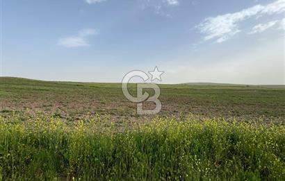 KIRŞEHİR MERKEZ SARAYCIK KÖYÜ 23.439 M2 SATILIK TARLA