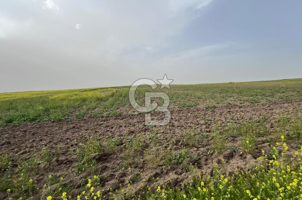 KIRŞEHİR MERKEZ SARAYCIK KÖYÜ 23.439 M2 SATILIK TARLA