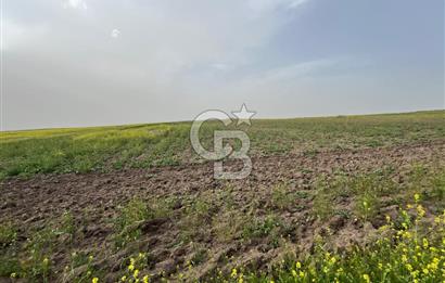 KIRŞEHİR MERKEZ SARAYCIK KÖYÜ 23.439 M2 SATILIK TARLA