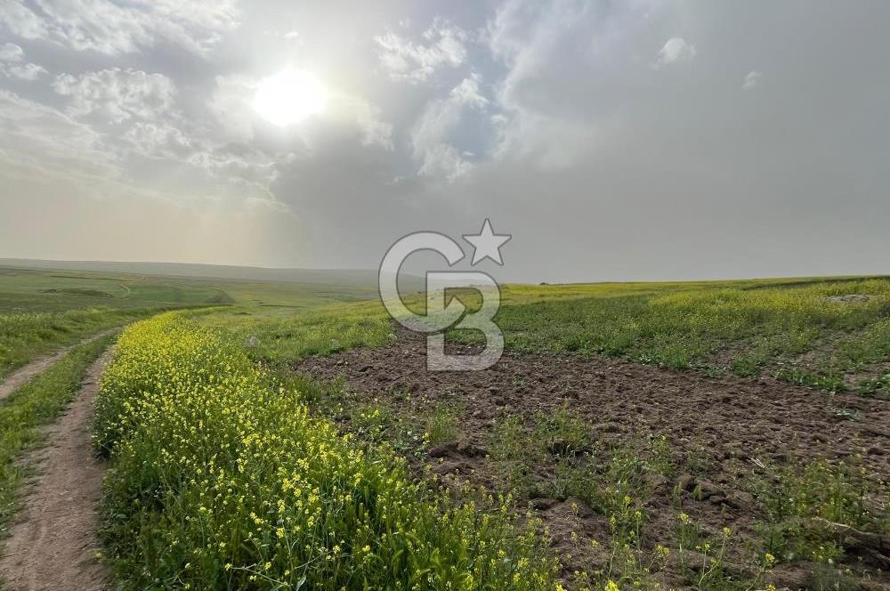 KIRŞEHİR MERKEZ SARAYCIK KÖYÜ 23.439 M2 SATILIK TARLA