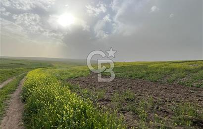 KIRŞEHİR MERKEZ SARAYCIK KÖYÜ 23.439 M2 SATILIK TARLA