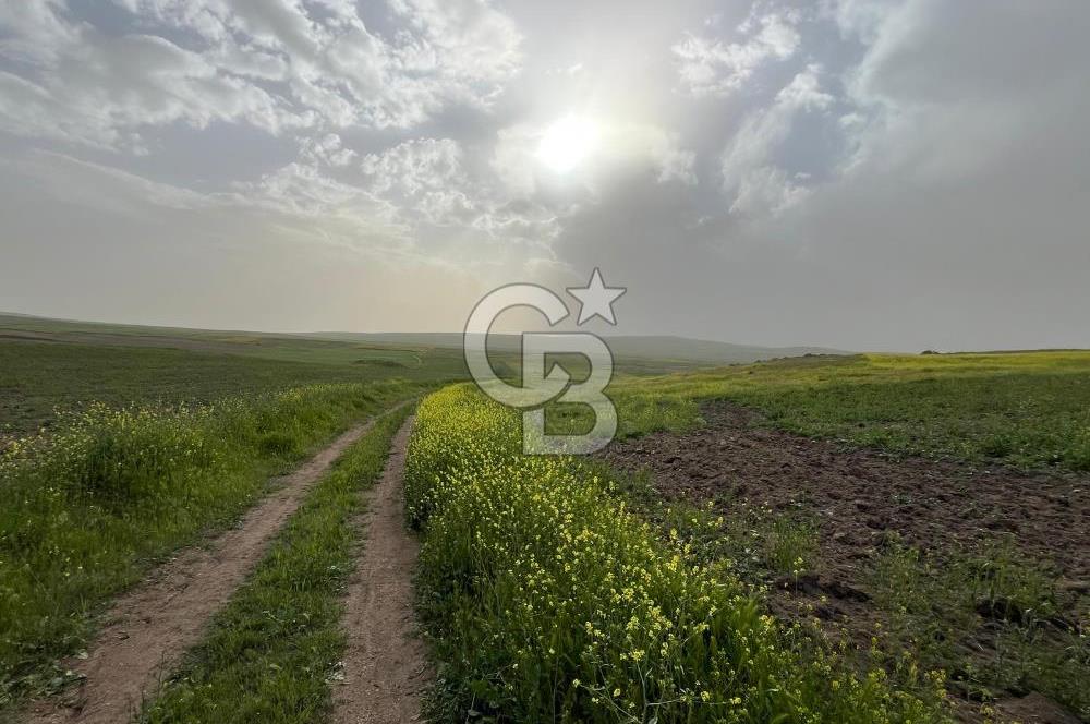 KIRŞEHİR MERKEZ SARAYCIK KÖYÜ 23.439 M2 SATILIK TARLA