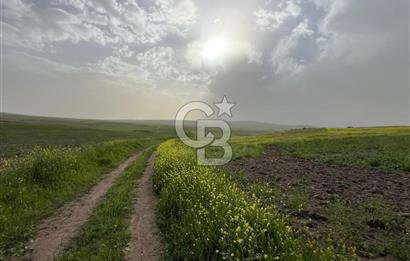 KIRŞEHİR MERKEZ SARAYCIK KÖYÜ 23.439 M2 SATILIK TARLA