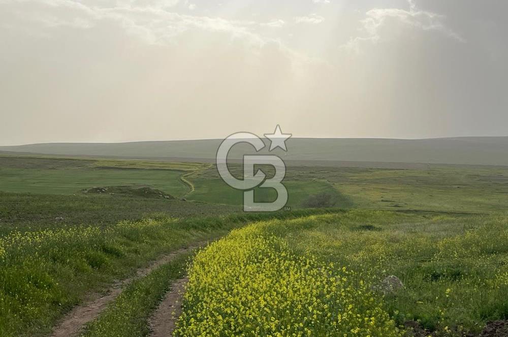 KIRŞEHİR MERKEZ SARAYCIK KÖYÜ 23.439 M2 SATILIK TARLA