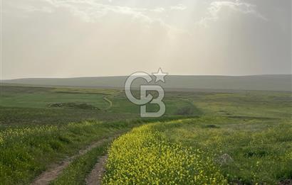 KIRŞEHİR MERKEZ SARAYCIK KÖYÜ 23.439 M2 SATILIK TARLA