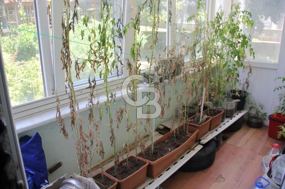 Uğur Mumcu Terkos'ta 3+1 | 110 M² Net | Çift Balkon