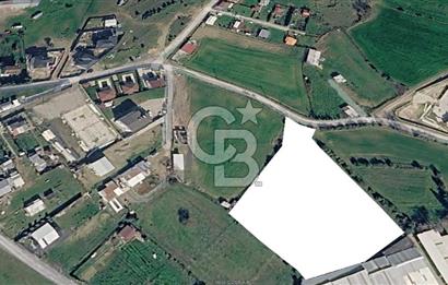 GEBZE AKVİRAN'DA KİRALIK 4.929M² KİRALIK TARLA