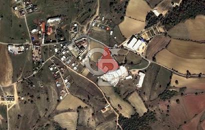 GEBZE AKVİRAN'DA KİRALIK 4.929M² KİRALIK TARLA