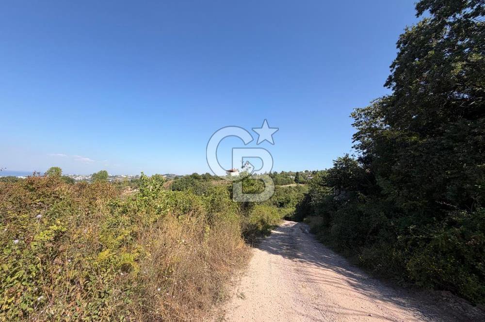 YALOVA TERMAL AKKÖYDE DENİZ MANZARALI 367M2 SATILIK ARSA