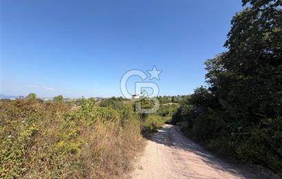 YALOVA TERMAL AKKÖYDE DENİZ MANZARALI 367M2 SATILIK ARSA