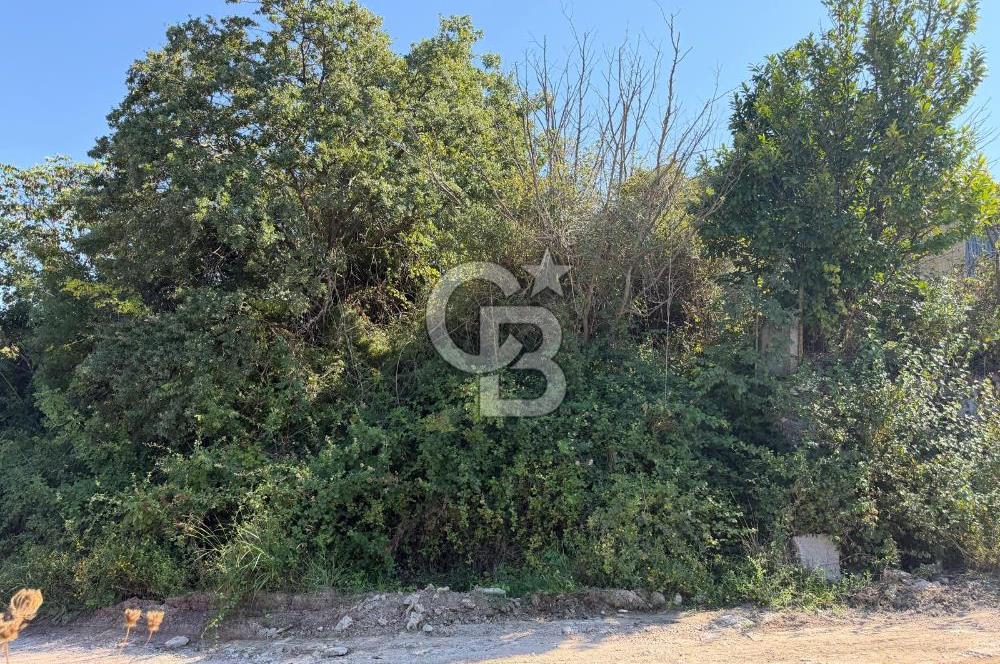 YALOVA TERMAL AKKÖYDE DENİZ MANZARALI 367M2 SATILIK ARSA