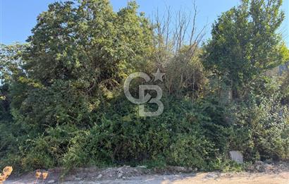 YALOVA TERMAL AKKÖYDE DENİZ MANZARALI 367M2 SATILIK ARSA