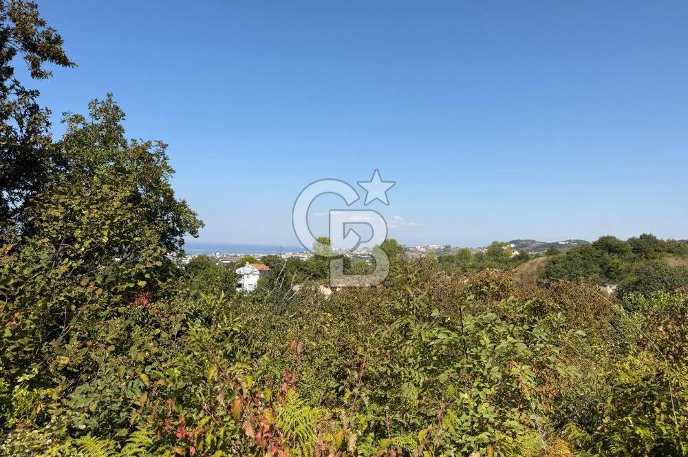 YALOVA TERMAL AKKÖYDE DENİZ MANZARALI 367M2 SATILIK ARSA