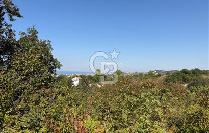 YALOVA TERMAL AKKÖYDE DENİZ MANZARALI 367M2 SATILIK ARSA