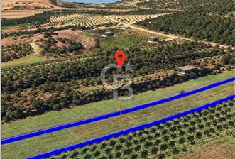 İZMİR ALİAĞA ÇALTILIDERE SATILIK TARLA  - 2 - 375420
