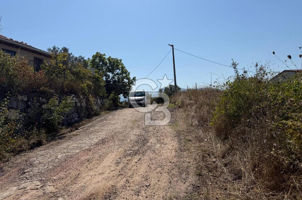 YALOVA TERMAL AKKÖYDE DENİZ MANZARALI 367M2 SATILIK ARSA