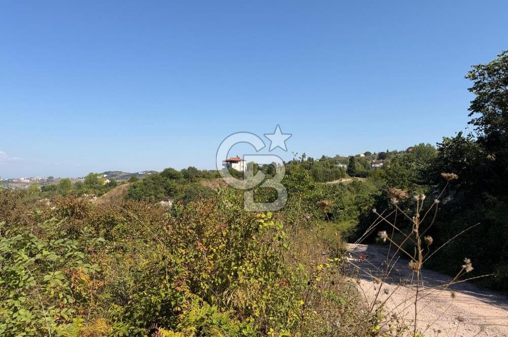 YALOVA TERMAL AKKÖYDE DENİZ MANZARALI 367M2 SATILIK ARSA