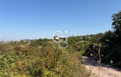 YALOVA TERMAL AKKÖYDE DENİZ MANZARALI 367M2 SATILIK ARSA