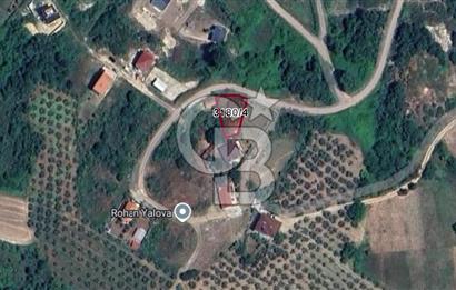 YALOVA TERMAL AKKÖYDE DENİZ MANZARALI 367M2 SATILIK ARSA