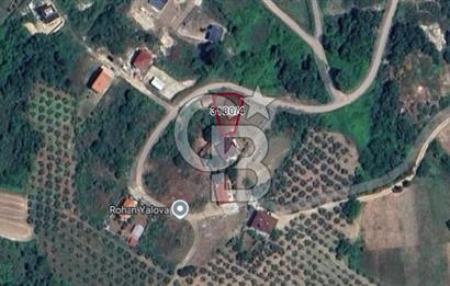 YALOVA TERMAL AKKÖYDE DENİZ MANZARALI 367M2 SATILIK ARSA