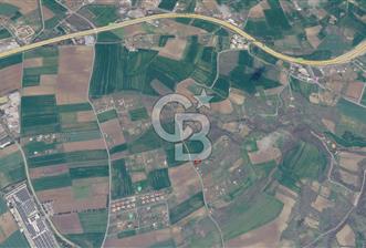 Tekirdağ Süleymanpaşa Barbaros Mah. Satılık 616.08 m² Arsa - 5 - 375485