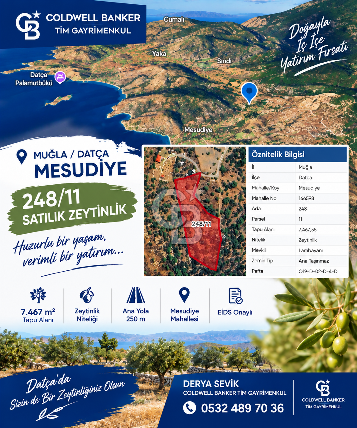 DATÇA MESUDİYE 7.467 m² ZEYTİNLİK