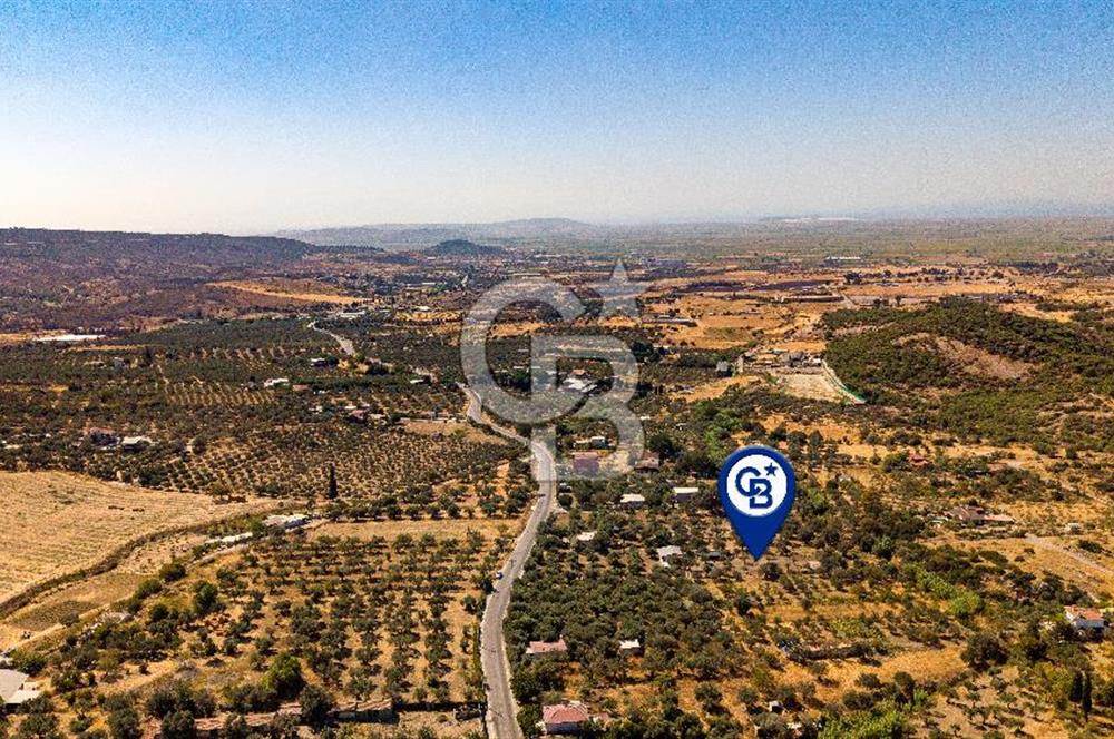 Foça Yeniköy'de Satılık Zeytinli Tarla ve Ev
