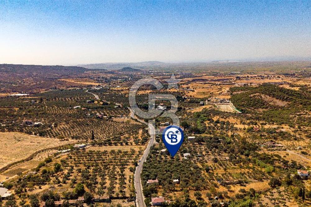 Foça Yeniköy'de Satılık Zeytinli Tarla ve Ev