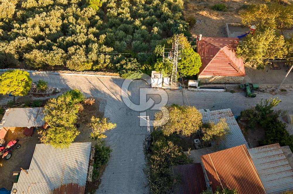 Foça Kocamehmetler Köy İçinde Satılık Arsa