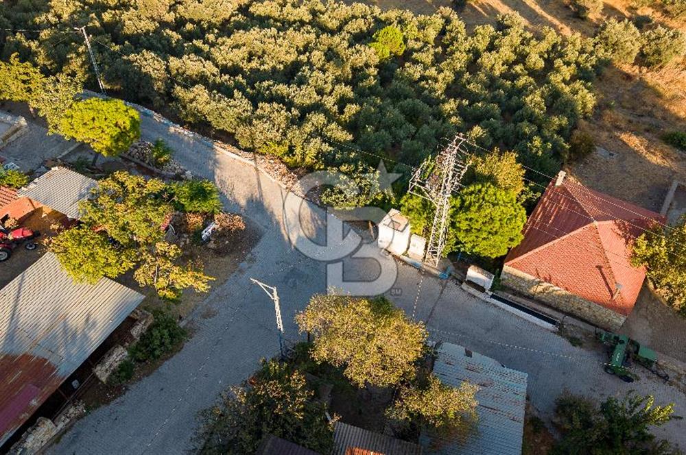 Foça Kocamehmetler Köy İçinde Satılık Arsa