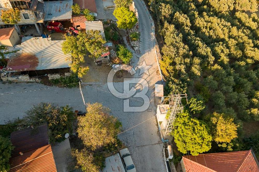 Foça Kocamehmetler Köy İçinde Satılık Arsa