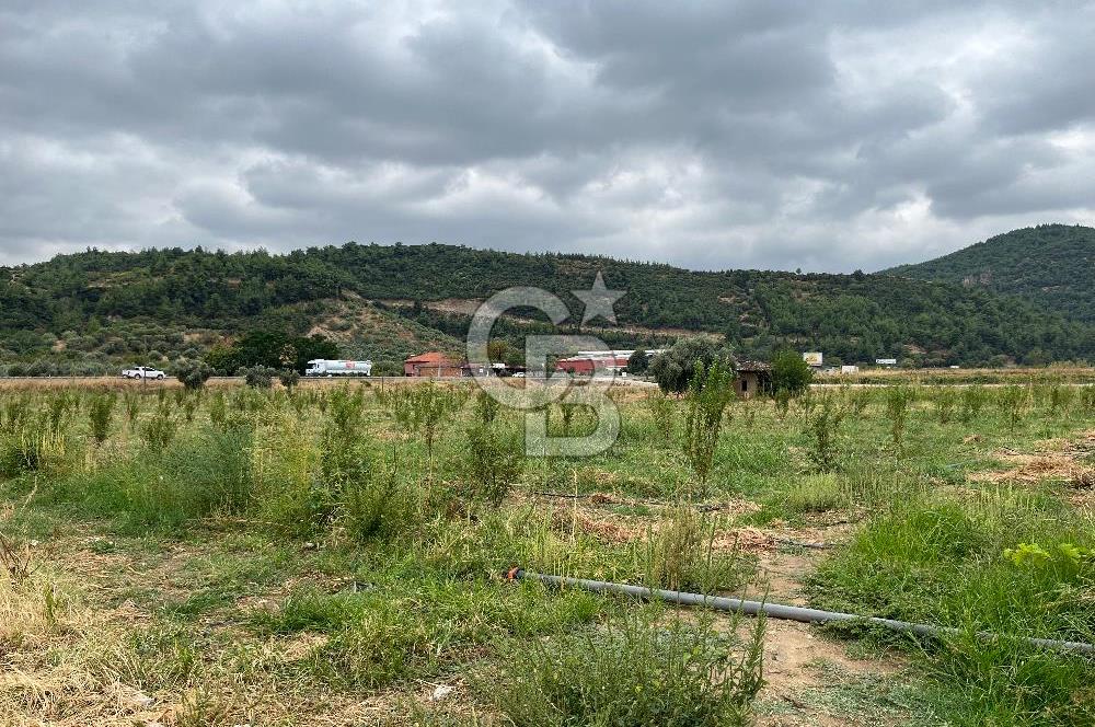 Akçapınar-Ankara asfaltına cepheli güzel konumda Tarla