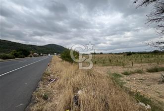 Akçapınar-Ankara asfaltına cepheli güzel konumda Tarla - 1 - 375488