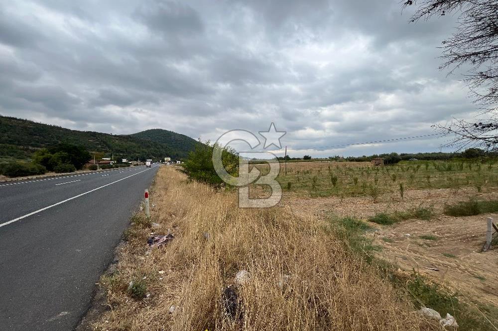 Akçapınar-Ankara asfaltına cepheli güzel konumda Tarla