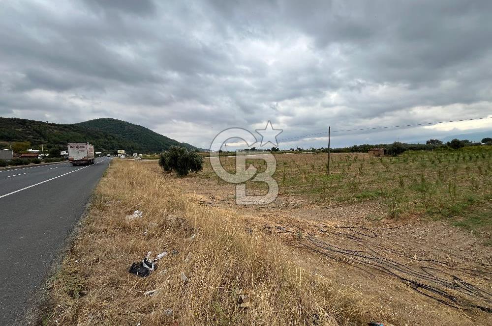 Akçapınar-Ankara asfaltına cepheli güzel konumda Tarla