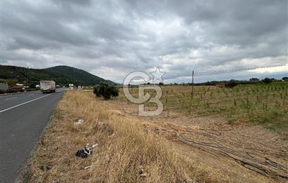Akçapınar-Ankara asfaltına cepheli güzel konumda Tarla