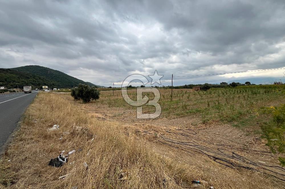 Akçapınar-Ankara asfaltına cepheli güzel konumda Tarla