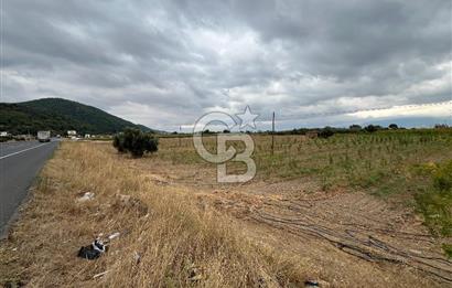 Akçapınar-Ankara asfaltına cepheli güzel konumda Tarla