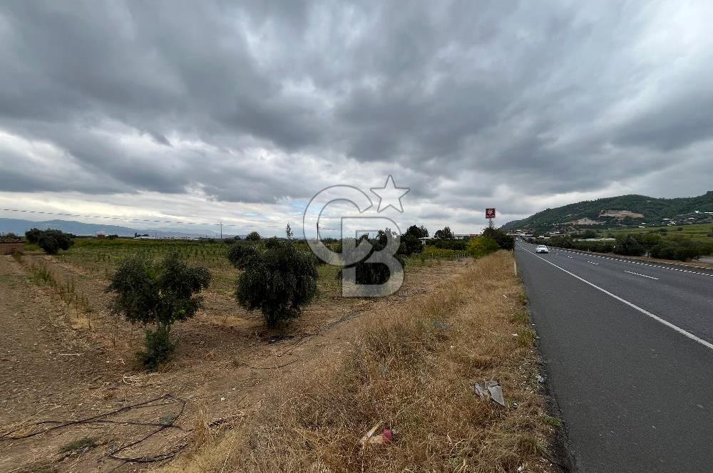 Akçapınar-Ankara asfaltına cepheli güzel konumda Tarla
