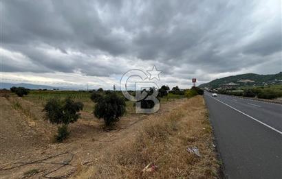 Akçapınar-Ankara asfaltına cepheli güzel konumda Tarla
