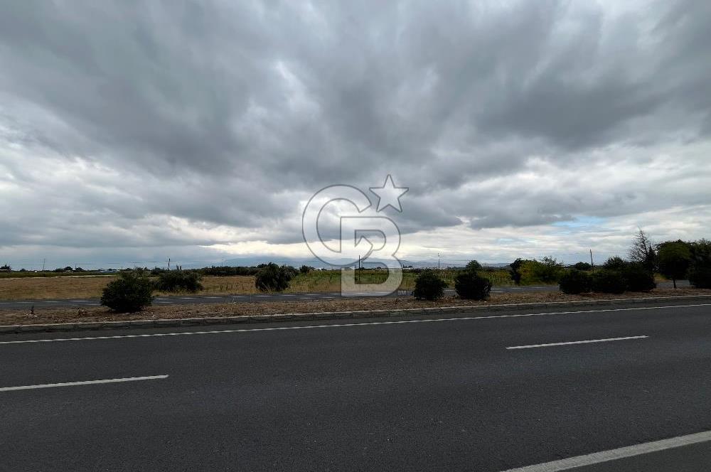 Akçapınar-Ankara asfaltına cepheli güzel konumda Tarla