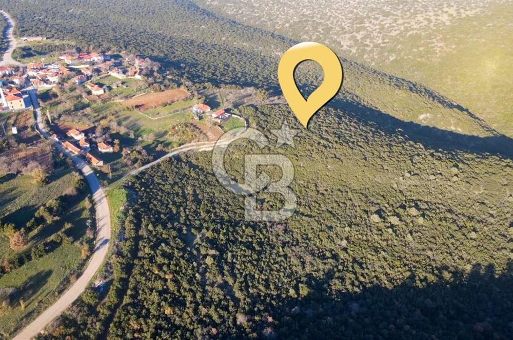BALIKESİR KEPSUT GÖBEL'DE SATILIK VİLLA İMARLI MÜSTAKİL ARSA