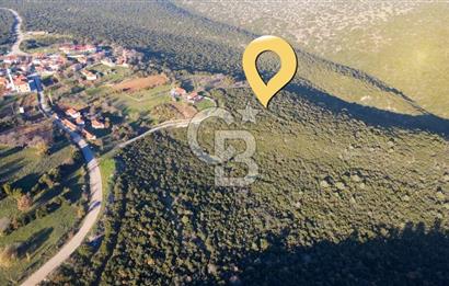 BALIKESİR KEPSUT GÖBEL'DE SATILIK VİLLA İMARLI MÜSTAKİL ARSA